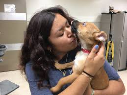 North sd county > pets. Pet Emergency And Disaster Relief Rescue Animal League
