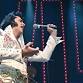 Ultimate Elvis Tribute Artist Contest