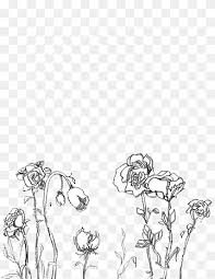 We send them to people to show them how much we care, and we send them to show our sorrow when someone dies. White Roses Drawing Illustration Aesthetics Black And White Graphy Color Drawing Flower Hand Branch Vertebrate Png Pngwing