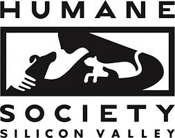 On the street of ames avenue and street number is 901. Humane Society Silicon Valley Reviews And Ratings Milpitas Ca Donate Volunteer Review Greatnonprofits