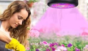 Very much a classic style of. Best Ufo Led Grow Light What For Me