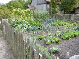 Turn the hose on and the water runs right through. How To Set Up Your Vegetable Garden Bed Or Container Correctly