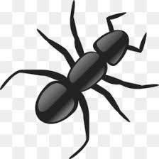 Semut hitam serangga gambar vektor gratis di pixabay. Semut Hitam Unduh Gratis Semut Clip Art Semut Hitam Gambar Png