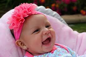 Sheltie's 4-month growth and development