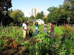 Maybe you would like to learn more about one of these? Garden Apprentice Program Brooklyn Botanic Garden