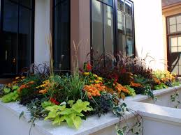 She recommends this arrangement for early fall. Fall Window Box Ideas And Pictures