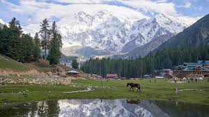 Fairy Meadows