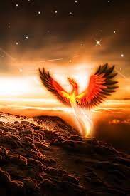 Phoenix Wallpaper 153 Phoenix Wallpaper Phoenix Images Wallpaper Pictures