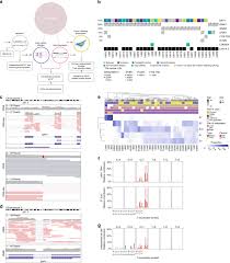 Check spelling or type a new query. Molecular Profiling Of Driver Events In Metastatic Uveal Melanoma Nature Communications