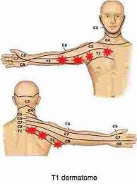 Pin On Health