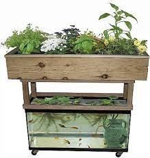 Building A Grow Bed For Your Aquaponic Garden Better Farm