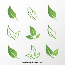 Green leaf background vector download free vectors. Free Leaves Vectors 321 000 Images In Ai Eps Format