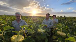 Ayana789 Bali Indonesia - Sexy Ayana