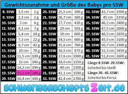 Schwangerschaftswoche) wird ihr beschützerinstinkt aktiv. 19 Ssw Bauch Geschlecht Gewichtszunahme Ultraschall