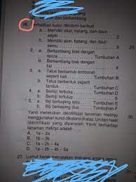 Sistem klasifikasi buatan disusun berdasarkan adanya satu atau beberapa ciri morfologis alat reproduksi lingkungan tempat tumbuh dan daerah penyebarannya tanpa memperhatikan kesamaan strukturnya. Yanti Melakukan Identifikasi Tanaman Melinjo Menggunakan Kunci Dikotomi Di Atas Urutan Hasil Brainly Co Id