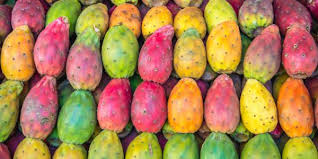 It has enormous health benefits: Beauty Benefits Of Prickly Pear Seed Oil Victoria Health