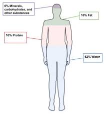 2 12 Indicators Of Health Body Mass Index Body Fat