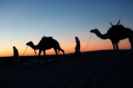 Camel rider moves on an exotic road with palm trees. Desert Odyssey Planning Your Trip To The Tunisian Sahara Lonely Planet