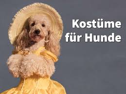 Ein halsband mit schleife nähen. Kostume Fur Hunde Fur Karneval Halloween Und Weihnachten