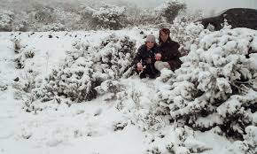 Aquelas paisagens de inverno, branquinhas e com flocos de neve caindo, soam impossíveis para e um jeito muito legal de conhecer onde tem neve no brasil é fazendo o tour com um carro alugado 😉. Dez Cidades Onde E Possivel Ver Neve No Brasil Viajei Bonito