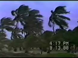 We did not find results for: Se Cumplen 24 Anos De Que El Huracan Gilberto Toco La Peninsula De Yucatan Youtube