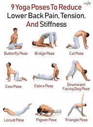 12 Yoga Poses For Men That Prove Men Should Also Do Yoga In 2020 Back Exercises Easy Yoga Workouts Yoga Postures