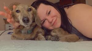 What is the best tick and flea collar for dogs?