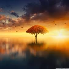 Looking for the best aesthetic wallpapers? Aesthetic Landscape Aesthetic Yellow Ipad Wallpaper Wallpaper Hd New