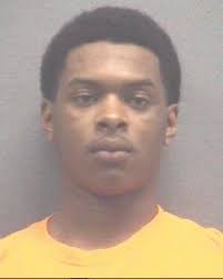 Weapon assault, and 16 other crimes sentenced in Muskegon Court