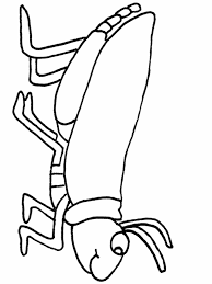 Blank Fireflies Coloring Pages In 2020 Insect Coloring Pages Bug Coloring Pages Coloring Pages For Kids