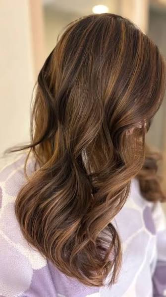 Dark Brown Highlights With Caramel Tones