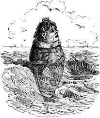 Fish have two sets of ribs, which attach to the upper and lower parts of the vertebral arches and which do not join in front. The Project Gutenberg Ebook Of The Works Of Thomas Hood Vol Ii By Thomas Hood