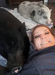 Should I get a boy or girl juliana mix buddy?