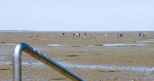 Näytä lisää sivusta wattenmeer facebookissa. Weltnaturerbe Wattenmeer Nordseeurlaub Buchen