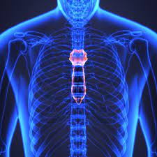It is just very tight and it feels like that area of your stomach or diaphragm or whatever that area is, is pushing up under your ribcage/lungs. Sternum Anatomy Function And Treatment