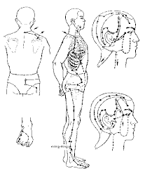 Rezultat iskanja slik za digitopresura