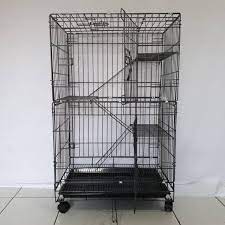 Abal aban abang abangan abangga abangmu abangnya abar abaran abas abasiah abatoar abau abbreviata abc abdas abdi abdikasi abdomen abdominal abdu abductee abduh abduksi abduktor abdul abdullah abdurrahman abe abece abel abelmaschus abelmoschus aben aberasi abesif abet abi abian abid. Harga Kandang Kucing Tingkat Terbaik Hobi Koleksi Juli 2021 Shopee Indonesia