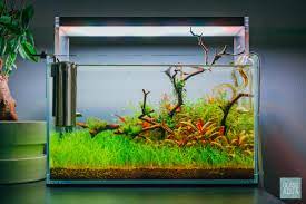 Tv Stand Nano Planted Tank At 1 Month Aquariums