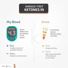 And here's my ketone levels after 54 hours (quite the jump, i know): How To Get Into Ketosis 7 Top Tips Ketogenic Com