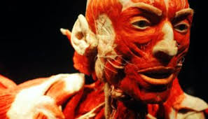 Canadian's and Others' Convictions to Divine Interventionism...