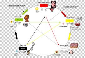 Traditional Chinese Medicine Wu Xing Success With Numeracy