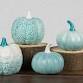 Pumpkin Palooza