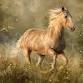 Equine Mastery (Lancaster, PA) — Pouka Art ... event in Intercourse, PA