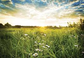 People who deal with mental illness don't speak out because of their fear of being judged. Inspirational Quotes Mental Health Recovery Devon