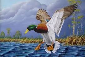 Pin By Debbie Story On Diy Wildlife Paintings Birds Painting Pet Birds