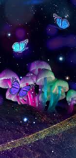 Download the marvelous neon butterfly wallpaper. Neon Butterfly Wallpaper Iphone Novocom Top