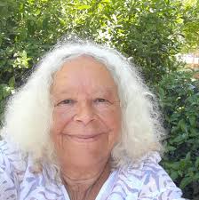 A55 closed in Gwynedd due to animals