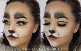 Halloween Cat Face Paint Makeup Face Painting Halloween Cat Halloween Makeup Kids Face Paint
