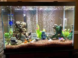 Fill the tank once you place back the gravel back in. Creative Ratemyfishtank Com