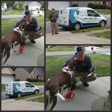 The health and safety of your loved ones comes first, which is why all of our raleigh pest control services utilize products that are extremely effective, yet less toxic than table salt. Cleardefense Pest Control 19 Photos 31 Reviews Pest Control 2717 Western Bypass Durham Nc Phone Number
